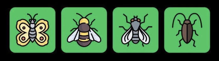 FLIES Daily Combo 18 June 2025